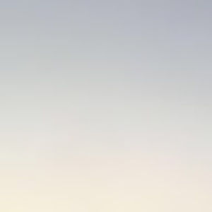 Meet your Posher, Katlyn